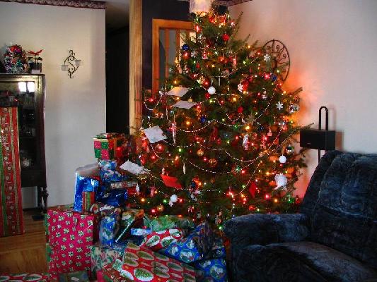 New Brunswick 2004 085.jpg